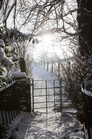 haworth graveyard jan 22 2013 1 sm.jpg